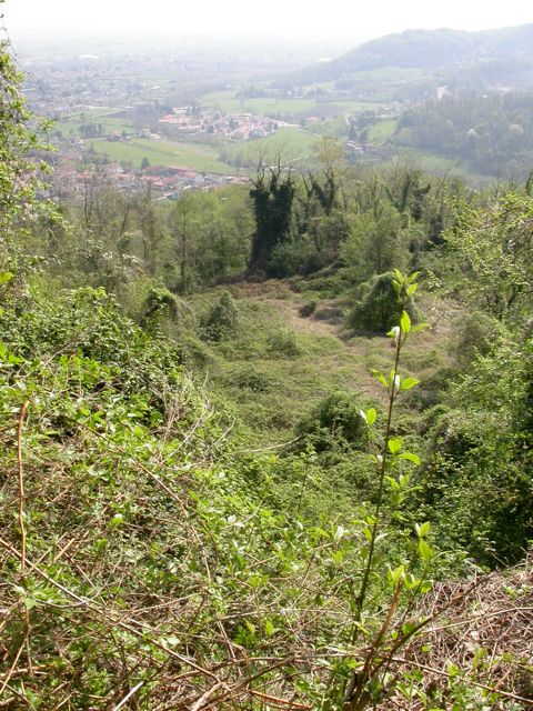 vallortigara/Thumbnails/15.jpg