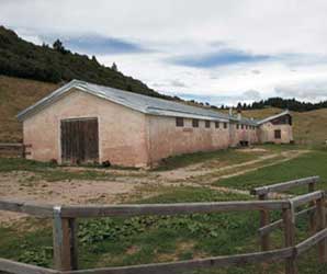 Malga Malgaroi