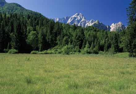 La piana di Fusine, sullo sfondo il monte Mangart
