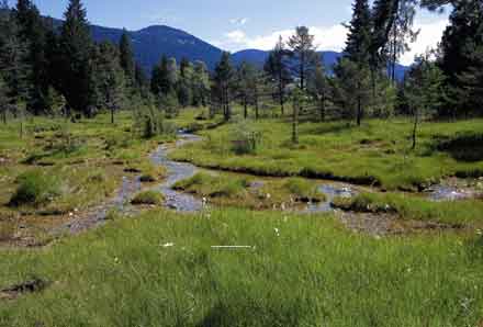 La torbiera montana di Schichizza