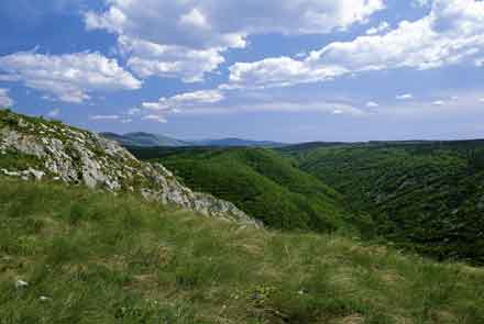 Panorama visto dal monte Stena, in primo piano il particolare aspetto della landa crasica