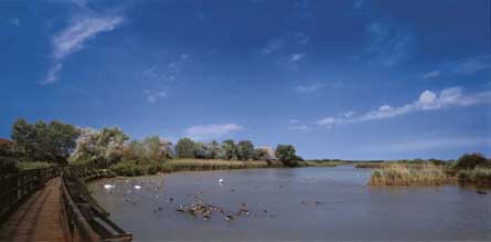 Valle Canal Novo