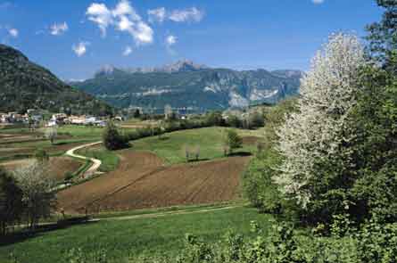 Il facino delle colline in fiore tra Muris, Cimano e Susans