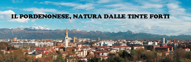 IL PORDENONESE NATURA DALLE TINTE FORTI