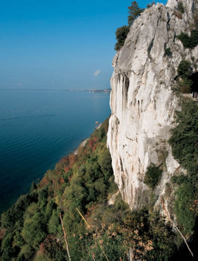 Trieste, parete rocciosa lungo la strada costiera. 